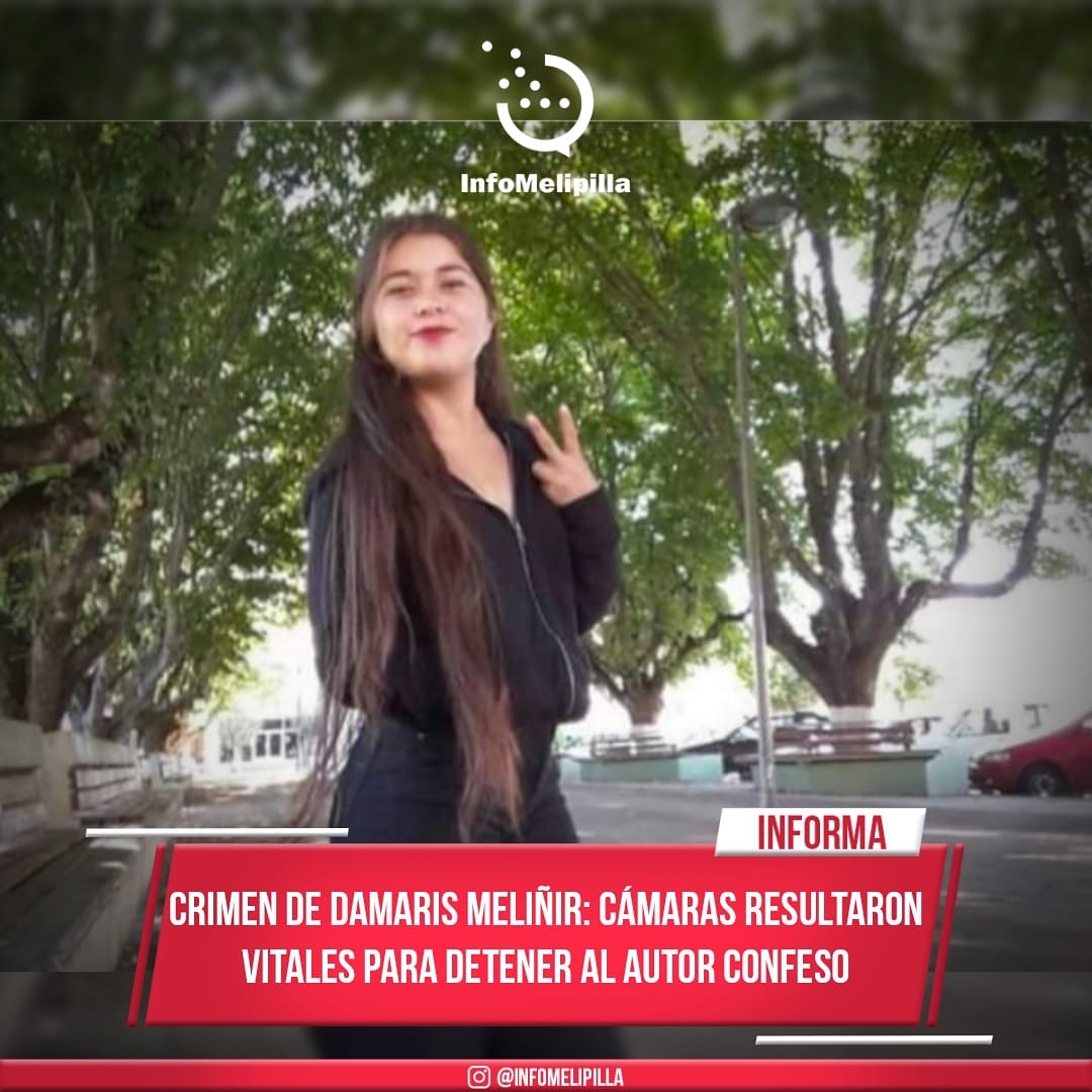 Crimen de Damaris Meliñir: Cámaras resultaron vitales para detener al autor confeso.