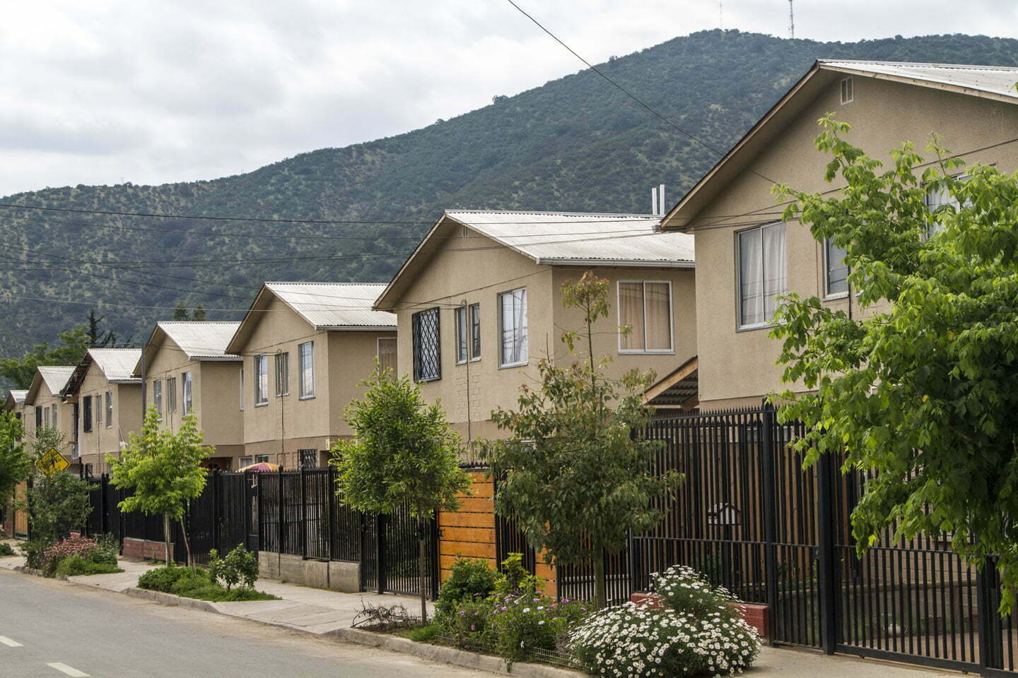 Casas afectadas por termitas en Villa San Francisco serán reparadas con subsidio Minvu