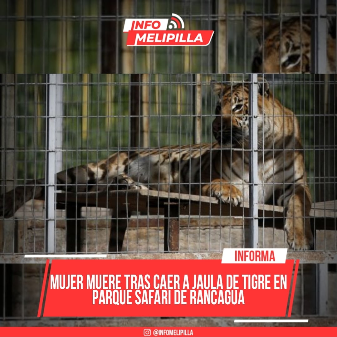 Mujer muere tras caer a jaula de tigre en Parque Safari de Rancagua