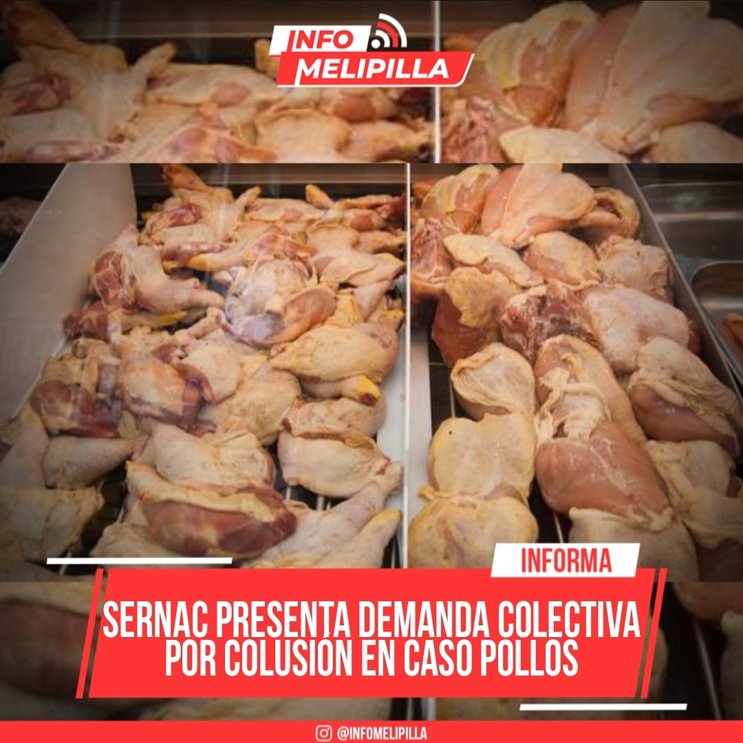 Sernac presenta demanda colectiva por colusión en caso Pollos
