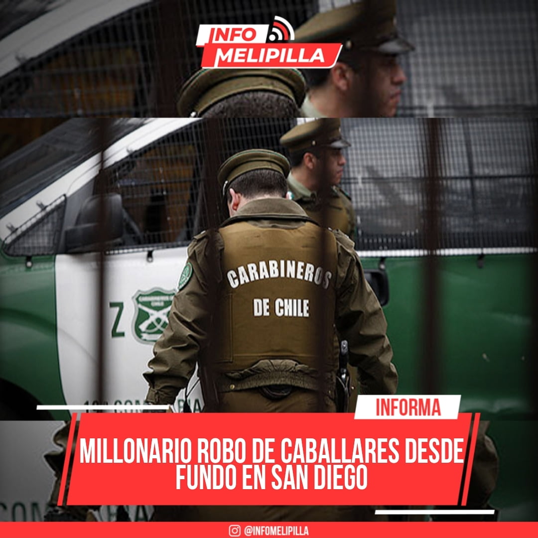 Millonario robo de caballares desde fundo en San Diego