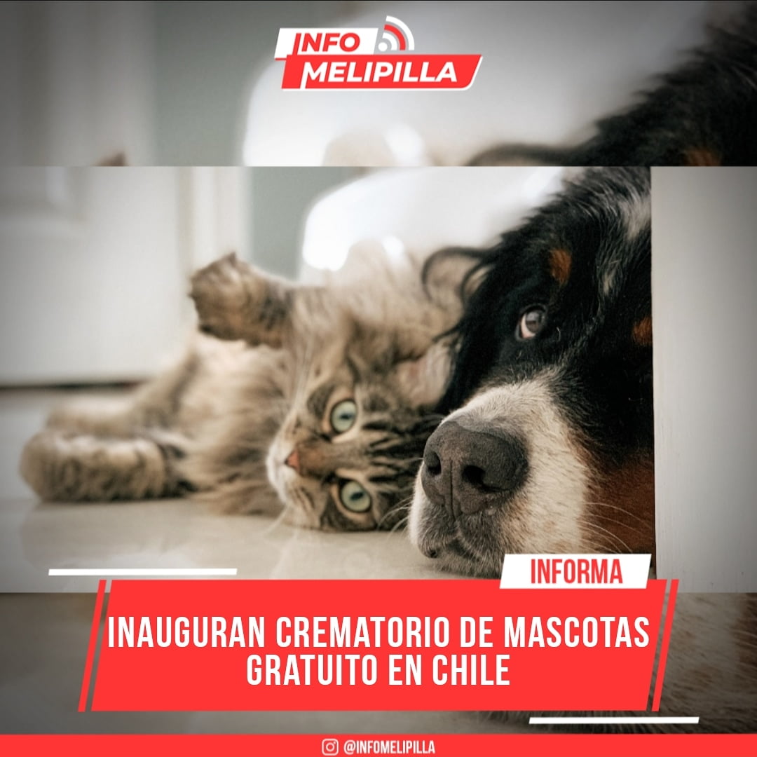 Inauguran un crematorio de mascotas gratuito en Chile