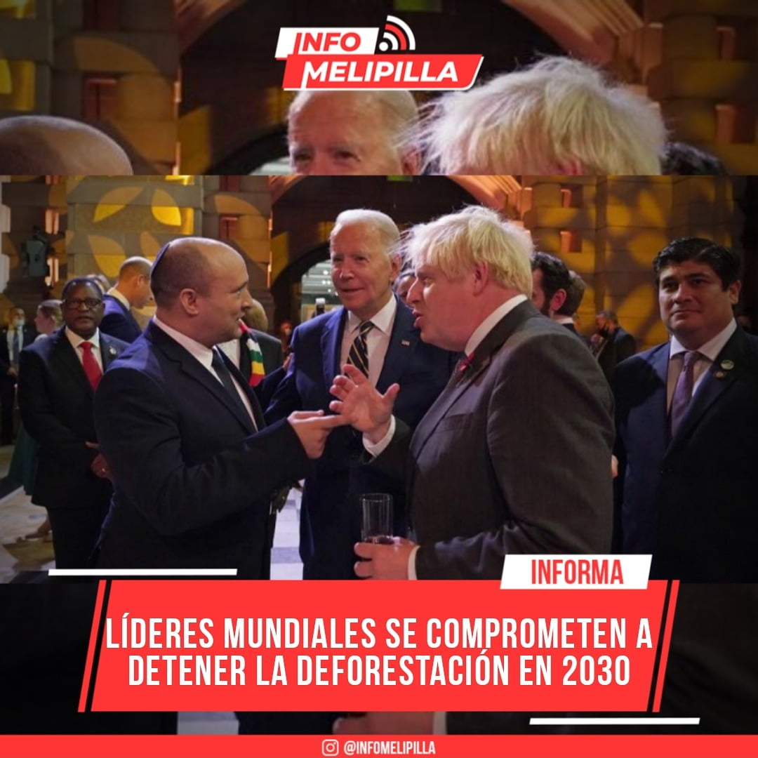 Líderes mundiales se comprometen a detener la deforestación en 2030