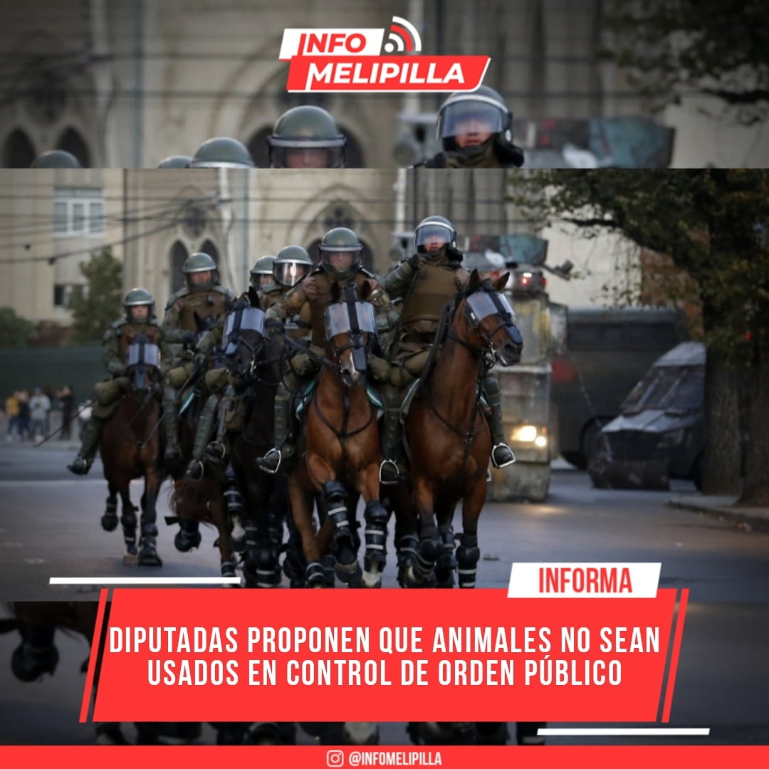 Diputadas proponen que animales no sean usados en control de orden público