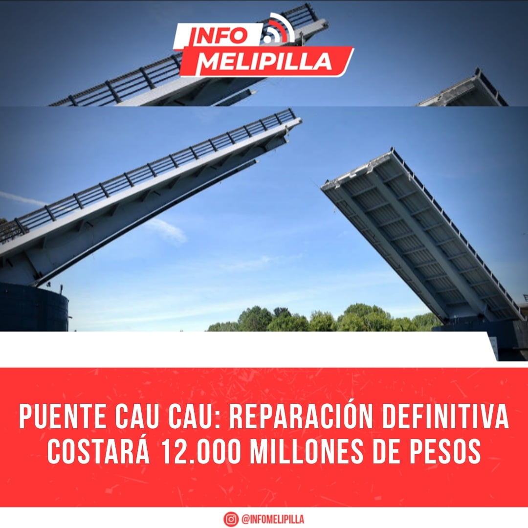 Puente Cau Cau: Reparación definitiva costará 12.000 millones de pesos