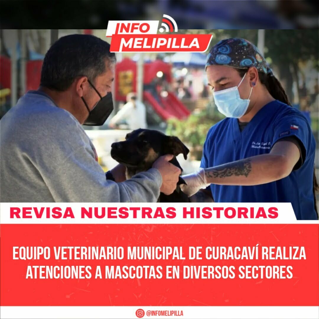 Equipo Veterinario Municipal de Curacaví realiza atenciones a mascotas en diversos sectores