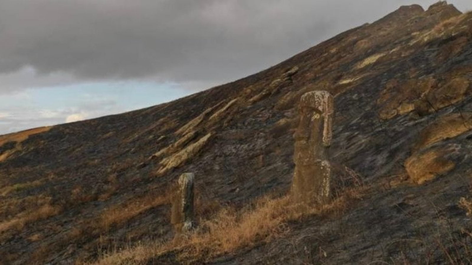 Unesco: incendio en Isla de Pascua dañó al menos 177 moáis