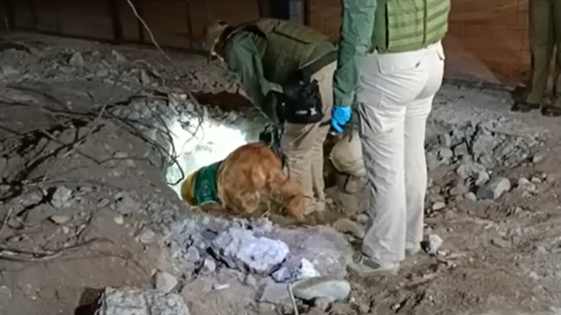 Delegada y bóveda bajo narcomausoleo: "Vamos a tener pertinencia territorial en cada uno de ellos"
