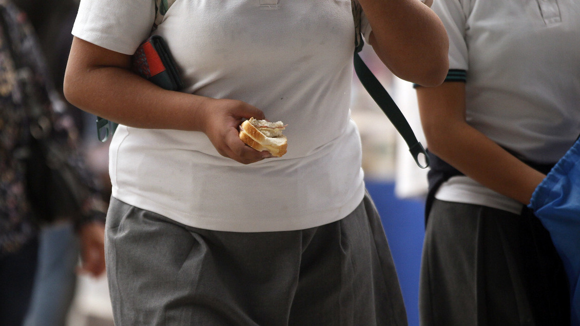 Mapa Nutricional: Tres de cada cinco estudiantes de 5° básico muestran prevalencia de obesidad